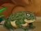 Spill Frogs Matching online
