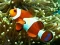 Spill Underwater Hidden Numbers online