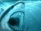 Spill Hungry Shark online