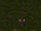 Spill Starcraft 3 online