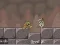 Spill Roly-Poly Eliminator 2 online