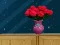 Spill Space House Escape online