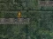 Spill Bunny Adventure online
