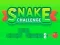 Spill Snake Challenge online