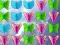 Spill Butterfly Collector online