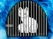 Spill Snow Fox Escape online