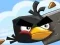 Spill Crazy Birds online