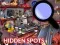 Spill Hidden Spots In The Room online
