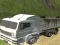 Spill Wild Animal Transport Truck online