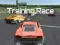 Spill Training Race online