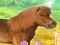Spill My Dear Pony online
