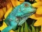 Spill Ultimate Puzzles Animals 6 online