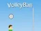 Spill VolleyBall online