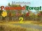 Spill Mysterious Password Forest Autumn Edition 2 online