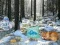 Spill Winter Wonderland Forest Adventure online