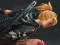 Spill Metal Wings: Elite Force online