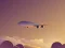 Spill Vacation Airplanes Jigsaw online