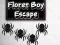 Spill Floret Boy Escape online