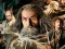Spill The Hobbit Jigsaw Puzzle Collection online