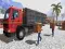 Spill Asian offroad cargo truck driver online