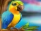 Spill Little Parrot Escape online