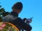 Spill Shadow Hunter online