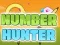 Spill Number Hunter online