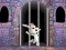 Spill Victory Rabbit Escape online