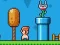 Spill Ninja Plumber online