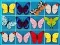 Spill King Of Mahjong online