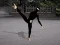 Spill Ninja Academy online