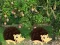 Spill Escape From Mango Farm online