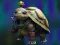 Spill Isolated Turtle Escape online