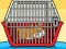 Spill Rescue The Hamster From Cage online