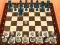 Spill Chess Master 3D online