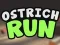 Spill Ostrich Run online