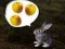 Spill The Foggy Forest online