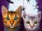 Spill Cat Simulator Online online