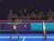 Spill Badminton Brawl online