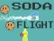 Spill Soda Flight online