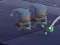 Spill Sleeping Babies online