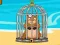 Spill Escape The Happy Groundhog online
