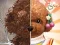 Spill Pet Makeup Master online