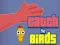 Spill Catch the Birds online