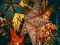 Spill Christmas Stars Jigsaw online