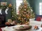 Spill Gingerbread Gala Hunt for 100 Sweet Delights online