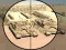 Spill Camo Sniper online