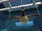 Spill Goose Museum online
