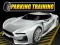 Spill Parking Training online