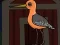 Spill Cute Godwit Escape online